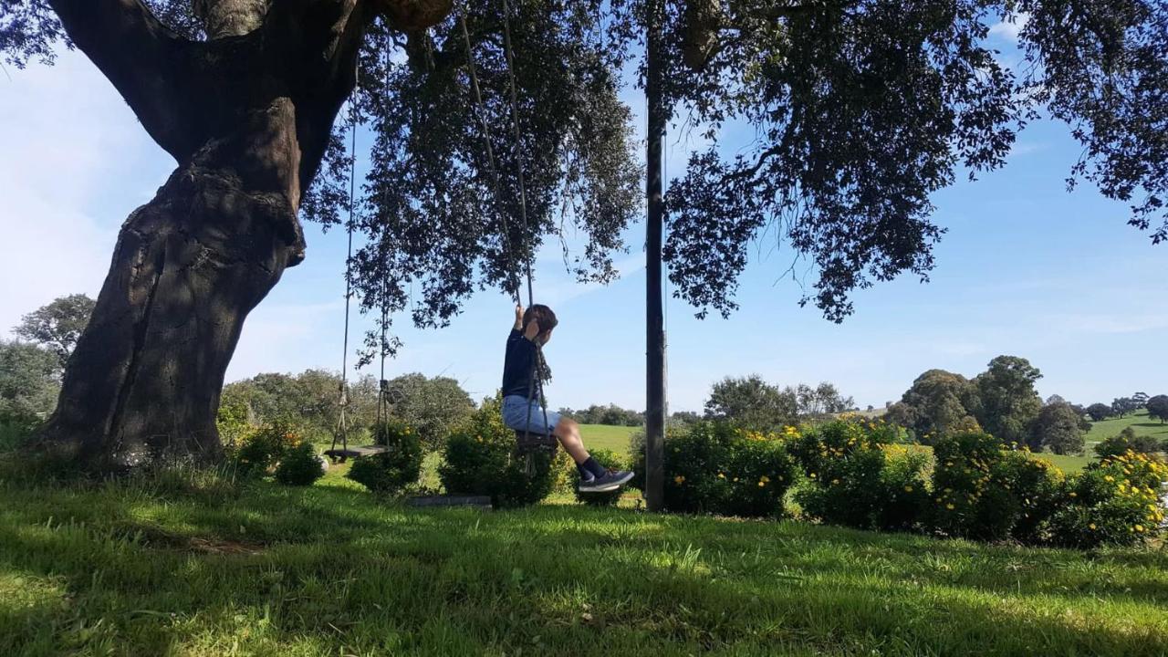 Herdade Reguenguinho Cercal do Alentejo Εξωτερικό φωτογραφία