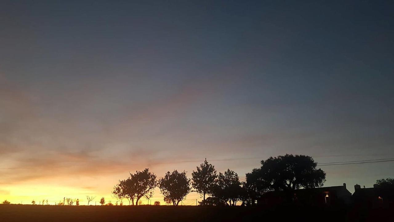 Herdade Reguenguinho Cercal do Alentejo Εξωτερικό φωτογραφία
