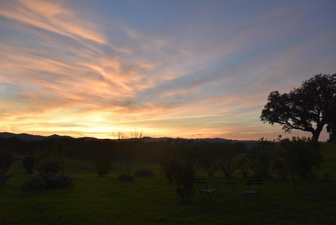 Herdade Reguenguinho Cercal do Alentejo Εξωτερικό φωτογραφία