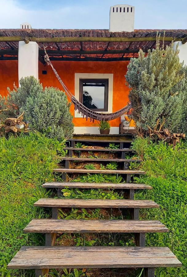 Herdade Reguenguinho Cercal do Alentejo Εξωτερικό φωτογραφία